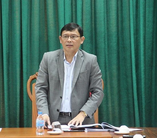 Phó chủ tịch UBND tỉnh, Trưởng Ban Chỉ đạo 389 của tỉnh  Nguyễn Tuấn Hà phát biểu tại hội nghị