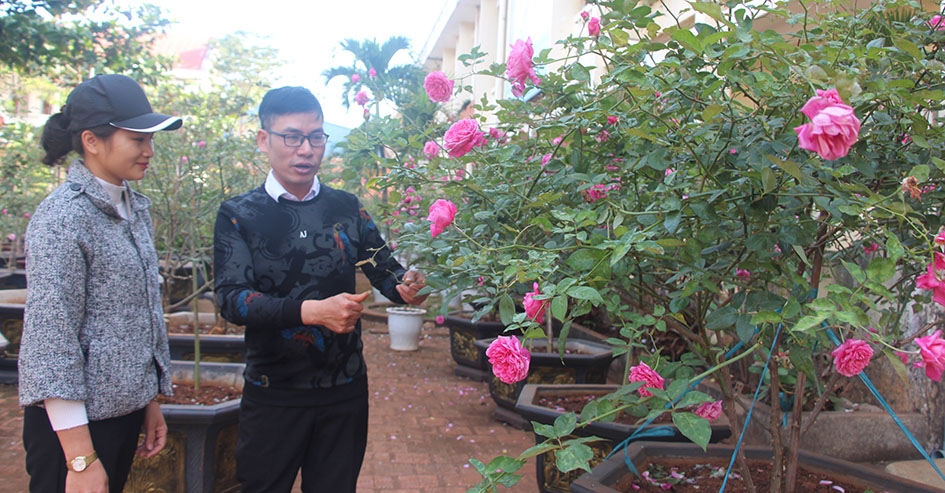 Anh Nguyễn Tiến Lâm hướng dẫn kỹ thuật chăm sóc hoa hồng cổ cho khách. 
