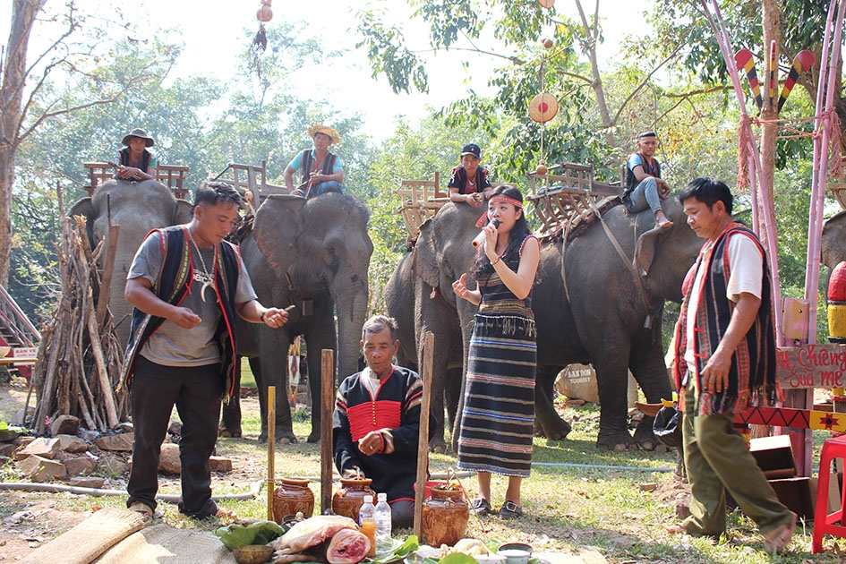 Lễ cúng sức khỏe cho voi tại Khu du lịch Văn hóa sinh thái Bản Đôn.  