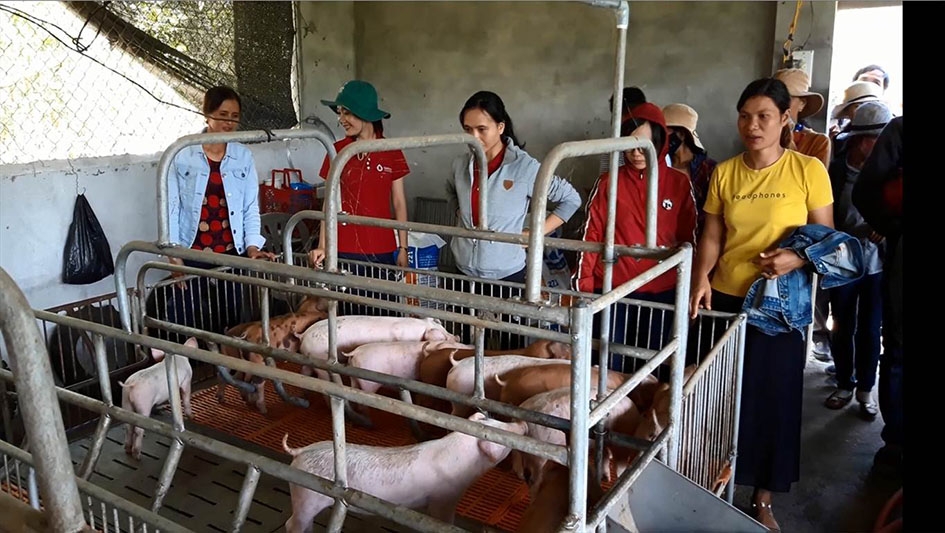 Hội viên phụ nữ thăm  trang trại nuôi heo của chị Nguyễn Thị Hường (thôn 2, xã Krông Á). 