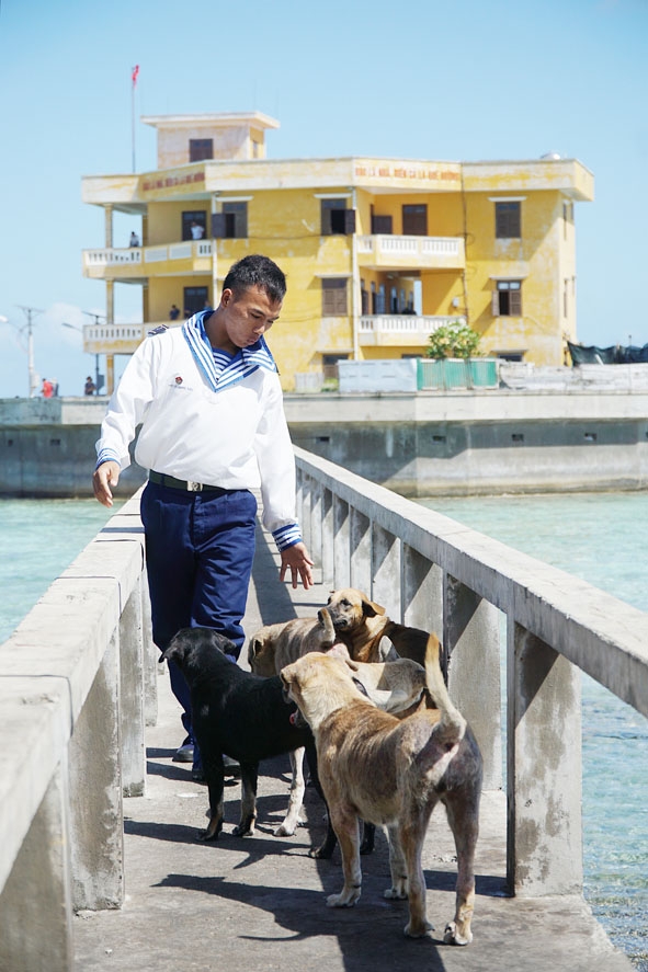 Người lính hải quân điểm đảo Đá Lớn A nô đùa cùng với những chú chó ở đảo.