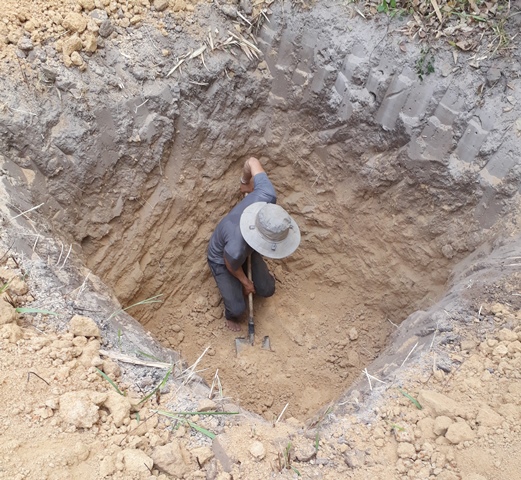 Các cơ quan chức năng đào hố tiêu hủy heo nhiễm dịch LMLM tại xã Hòa Sơn.