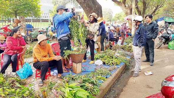 Nhộn nhịp cảnh mua bán lan rừng tại ngã ba đường Phan Đình Giót - Lê Duẩn (TP. Buôn Ma Thuột).