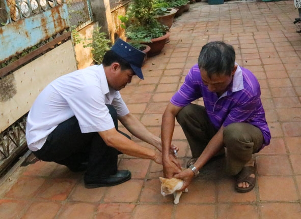 Ông Trịnh Xuân Trình (bên phải) tiêm phòng vắc xin dại cho tất cả chó, mèo của gia đình.