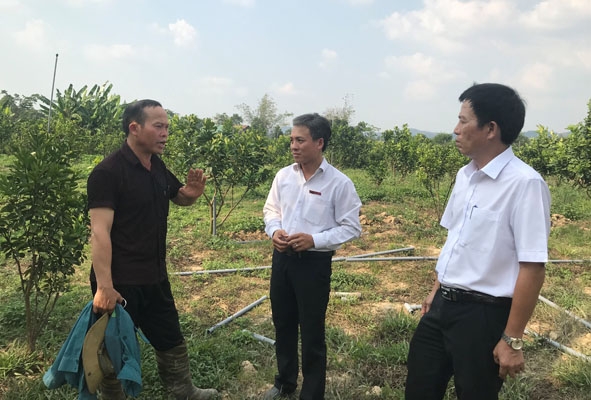 Anh Lăng Quang Đạo (bìa trái) chia sẻ về cách chăm sóc cây trồng của mình.  