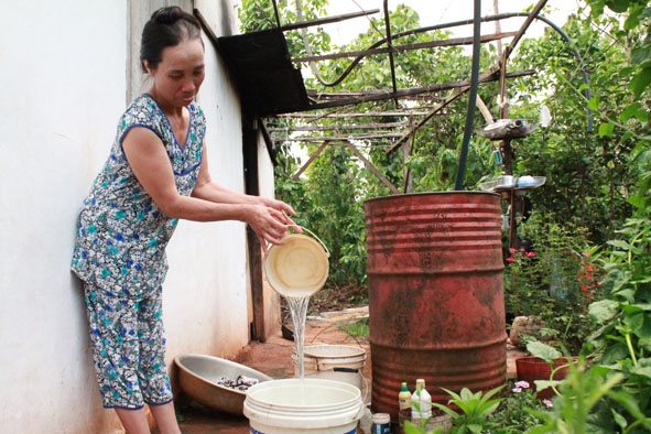 Giếng nước của gia đình ông Trần Văn Thơ (Tổ dân phố 11) nằm giữa vườn cây nên rất dễ bị ô nhiễm.