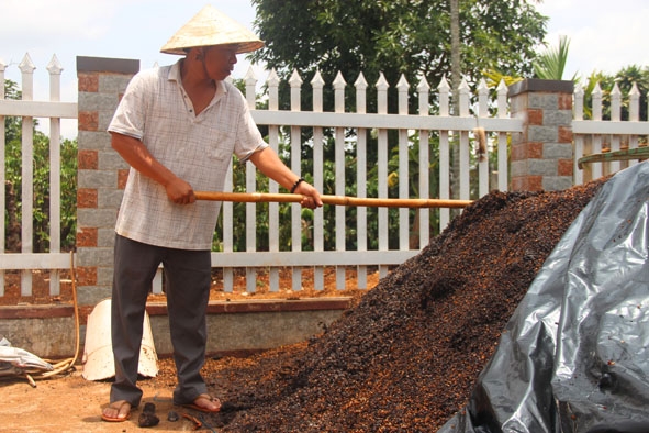 Anh Nguyễn Giang Nam áp dụng kỹ thuật ủ phân hữu cơ vi sinh từ vỏ cà phê để bón cho cây trồng.