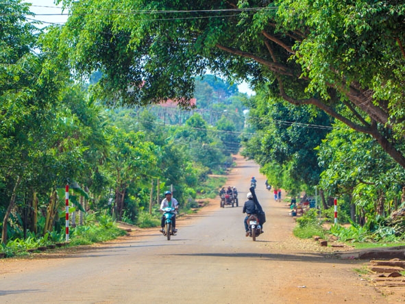         Những hàng cây xanh phủ bóng mát trên trục đường chính ở xã Ea Drông (thị xã  Buôn Hồ). 