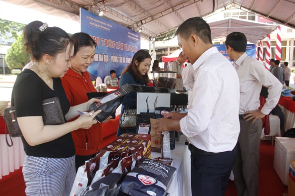 Doanh nghiệp tỉnh Bà Rịa - Vũng Tàu tìm hiểu thông tin về sản phẩm cà phê bột của Đắk Lắk. 