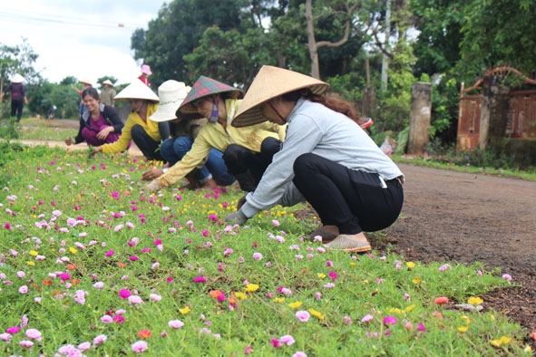 Phụ nữ xã Ea Tar (huyện Cư M'gar) đang chăm sóc các con đường hoa trên địa bàn.