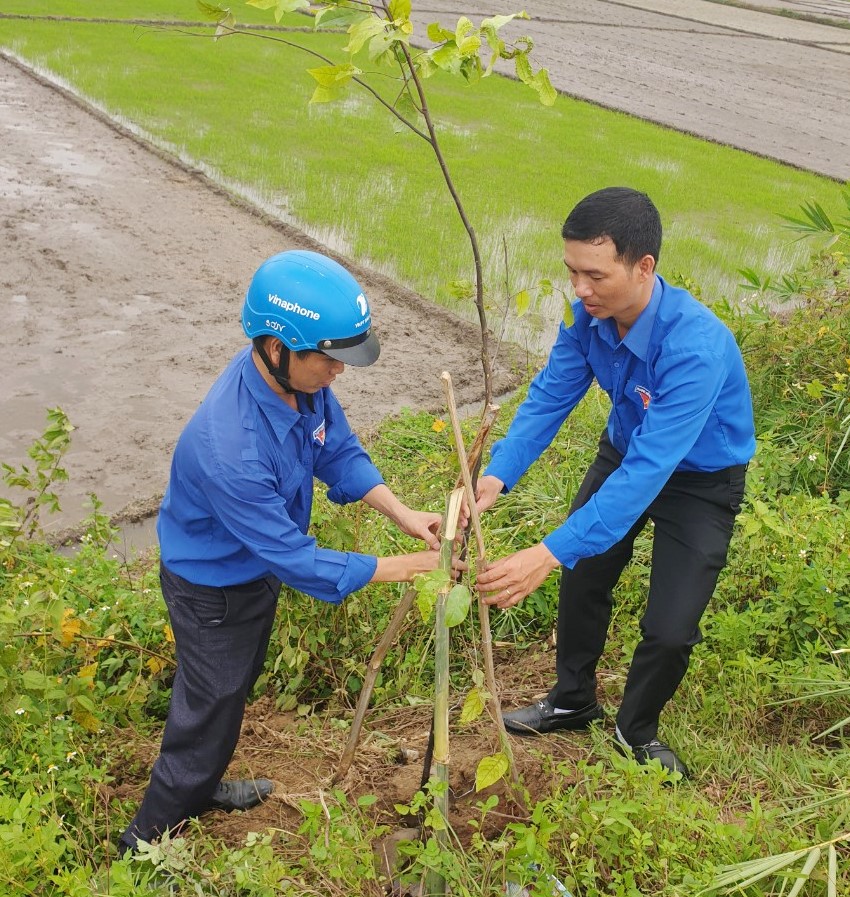 các ĐVTN đã ra quân phát dọn vệ sinh 1 km đường nội thôn và trồng 50 cây xanh tại thôn 5, xã Hòa Phong
