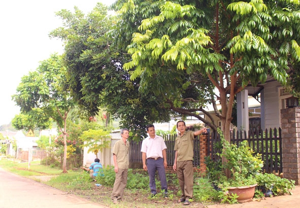 Mô hình tự quản “Hàng cây xanh” của Chi hội CCB thôn Tiến Phú (xã Quảng Tiến).
