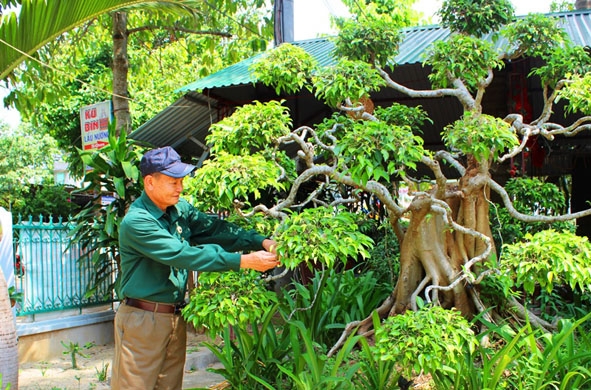 Ông Trần Quế Lâm chăm sóc vườn cây cảnh.   