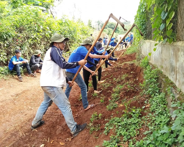 Thanh niên tình nguyện giúp dân sửa đường giao thông nông thôn tại xã Cư Né, huyện Krông Búk . 