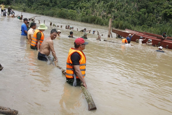 Người dân và lực lượng vũ trang huyện Krông Ana chung sức dựng rào ngăn nước cứu đê, cứu lúa. 
