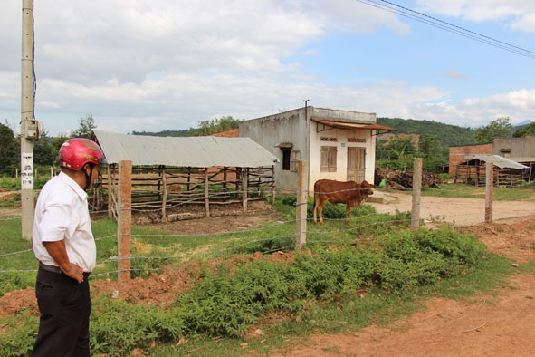 Chuồng trại chăn nuôi của một hộ dân ở buôn Hằng 1C (xã Ea Uy) quây tạm bợ trong khuôn viên nhà ở. 