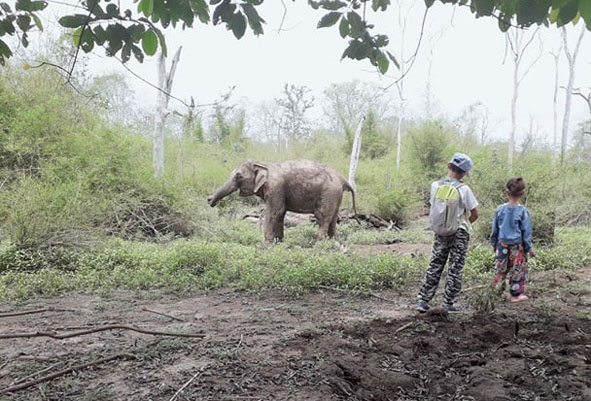 Hai du khách nhí đang trải nghiệm tour du lịch ngắm voi trong VQG Yok Đôn.