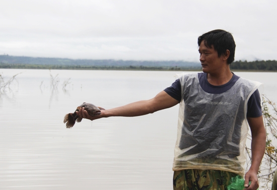 Anh Trần Bá Quân (thôn 7, xã Cư M’lan) cùng con cá bống tượng trọng lượng khoảng 700g. Tại hồ Ea Súp Thượng ngư dân đã từng bắt được cá bống tượng nặng gần 2,5 kg. 