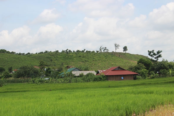 Một góc làng của người dân ở Tiểu khu 249.