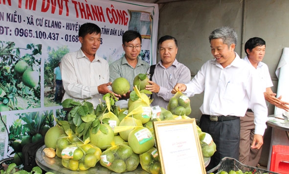 HTX Nông nghiệp thương mại - Dịch vụ - Vận tải Thành Công trưng bày sản phẩm tại Hội chợ cây ăn quả trên địa bàn huyện Ea Kar. 