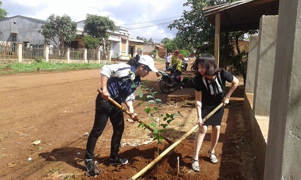 Hội viên phụ nữ xã Ea Drông tham gia trồng cây, làm đẹp buôn làng. 
