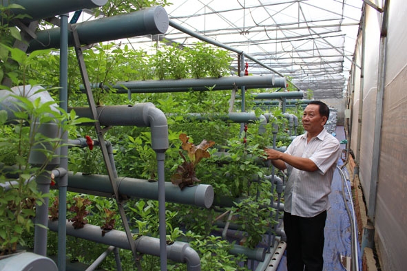 Đắk Lắk thu hút, kêu gọi đầu tư vào nông nghiệp ứng dụng công nghệ cao. 