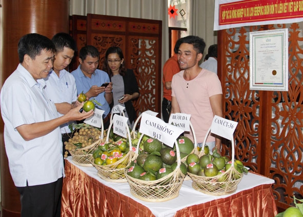 HTX Nông nghiệp và Du lịch Sêrêpốk 3 giới thiệu các sản phẩm trái cây tươi tại một hội nghị vừa được tổ chức.  