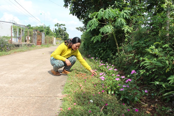 Hội viên phụ nữ thôn 2B thường xuyên dọn dẹp vệ sinh, nhổ cỏ tại các tuyến đường trong thôn.  