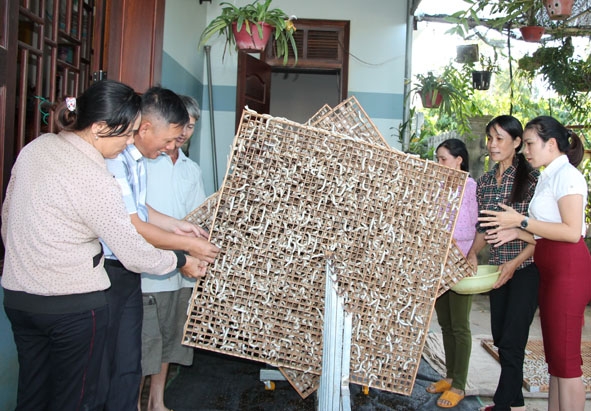 Cán bộ xã Xuân Phú thăm mô hình nuôi tằm của gia đình chị Đào Thị Nơi ( thứ 2 bìa phải). 