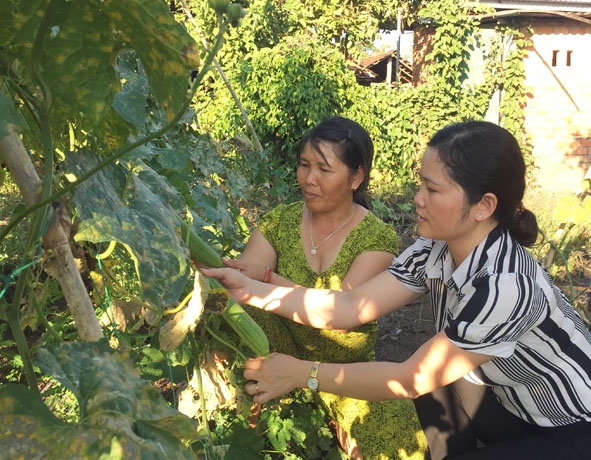 Chị Lục Thị Reo (bên trái) giới thiệu mô hình trồng rau của gia đình với cán bộ Hội LHPN  xã Cư M’gar. 
