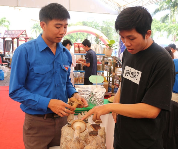 Anh Nghĩa  (bên phải)  giới thiệu  sản phẩm nấm tại “Ngày hội khởi nghiệp  tỉnh Đắk Lắk  lần thứ I  năm 2019”. 