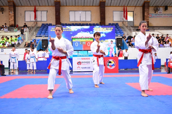 Karate, một trong những môn thể thao thành tích cao thế mạnh của Đắk Lắk.