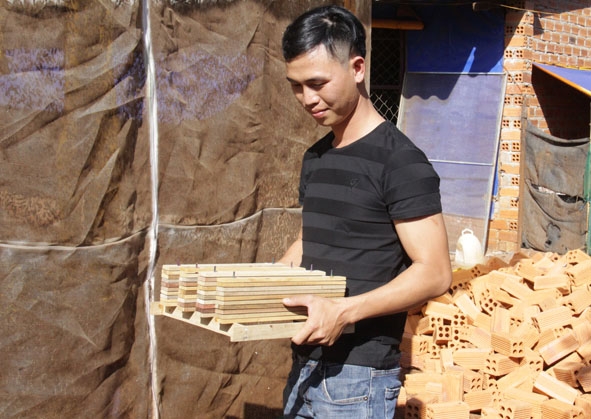 Anh Trần Văn Hưng sáng tạo bộ thanh gỗ thu trứng và màn nuôi ruồi lính đen từ thực tế sản xuất của mình.