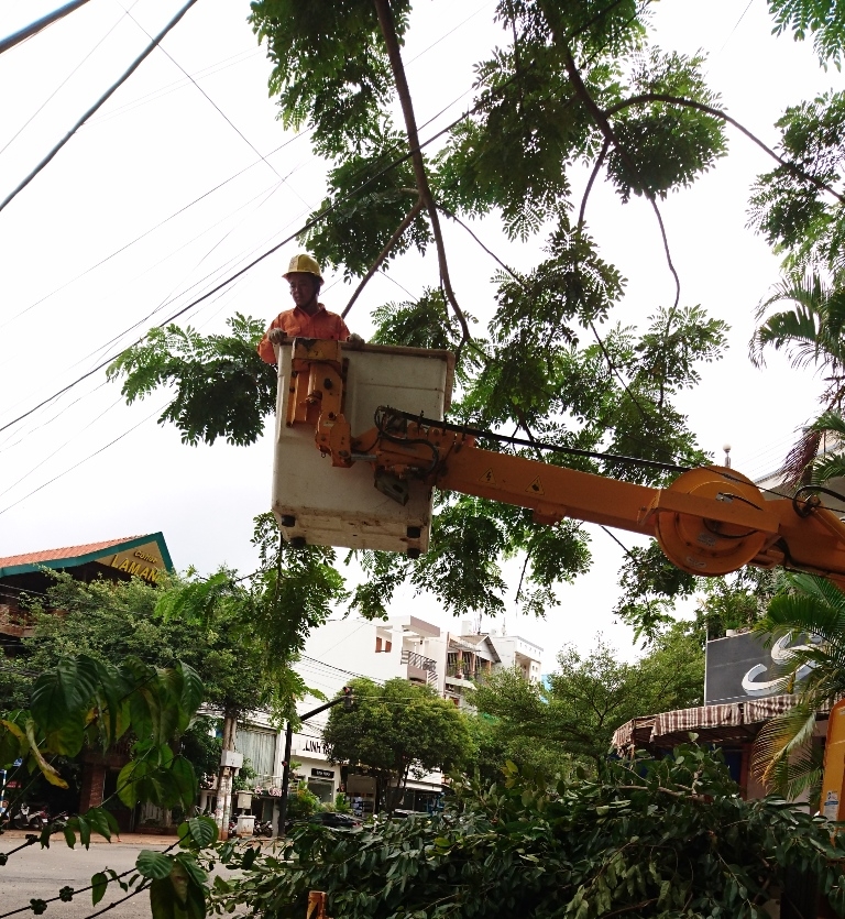 Công nhân ngành Điện xử lý cành cây vướng vào lưới điện trên đường Trần Quang Khải, TP. Buôn Ma Thuột