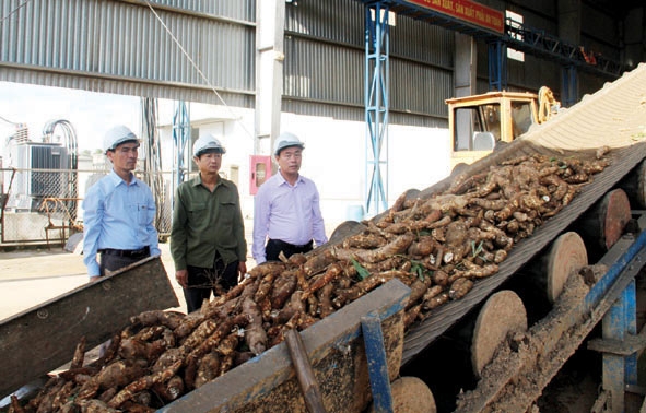 Chủ tịch UBND huyện M’Đrắk Hòa Quang Khiêm (bìa phải) thăm dây chuyền sản xuất tinh bột sắn của một doanh nghiệp trên địa bàn huyện.