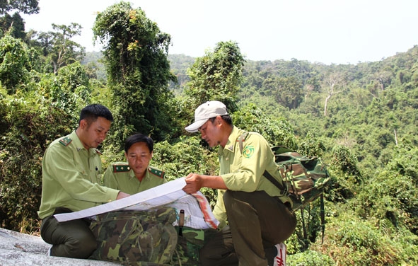Kiểm lâm VQG Chư Yang Sin trong một chuyến tuần tra bảo vệ rừng.