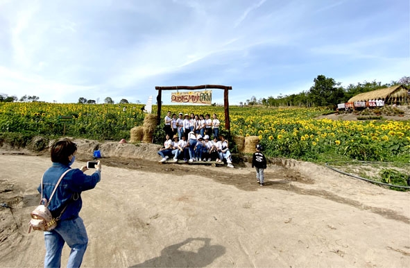 Du khách ghé thăm vườn hoa hướng dương của trang trại Quang Minh. 