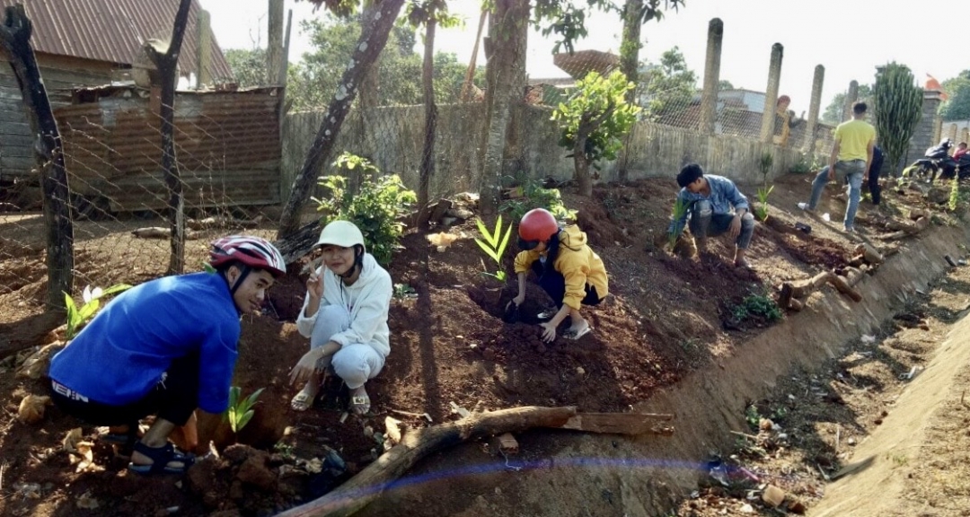 Đoàn viên thanh niên huyện Ea H'leo trồng cây xanh tại các tuyến đường