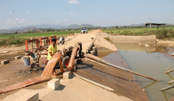 Người dân huyện Lắk chủ động bơm nước tưới cho lúa. 