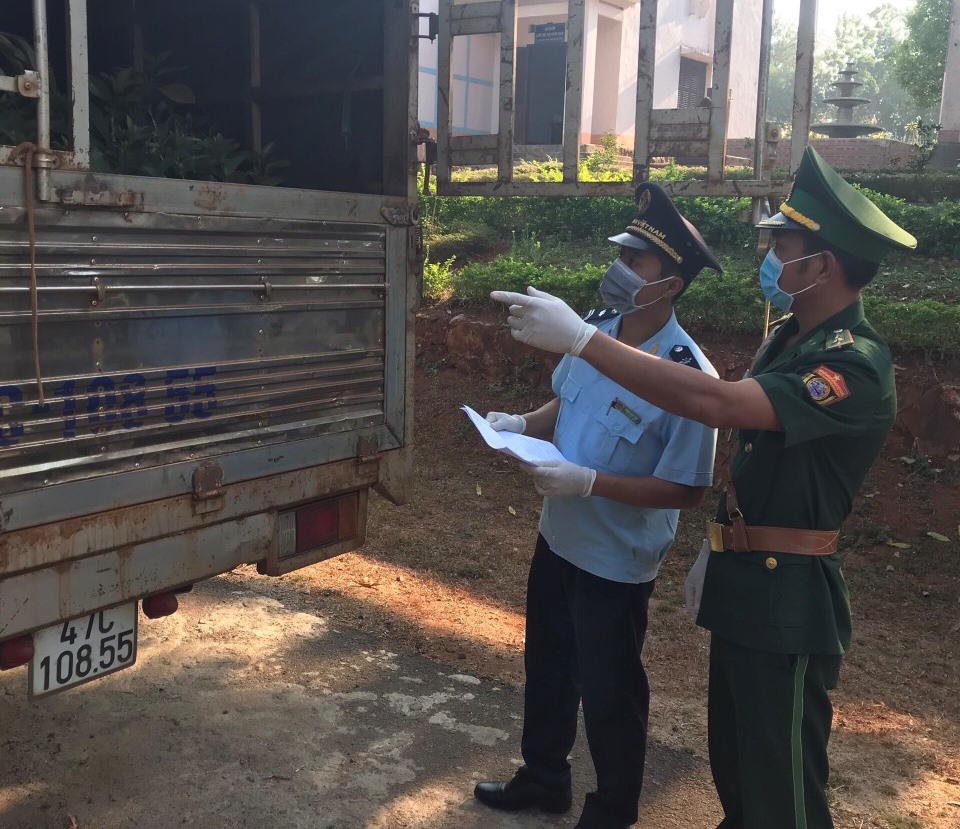 Cán bộ Cục Hải quan Đắk Lắk phối hợp với lực lượng chức năng tỉnh Đắk Nông kiểm tra hàng hóa xuất nhập khẩu trên địa bàn