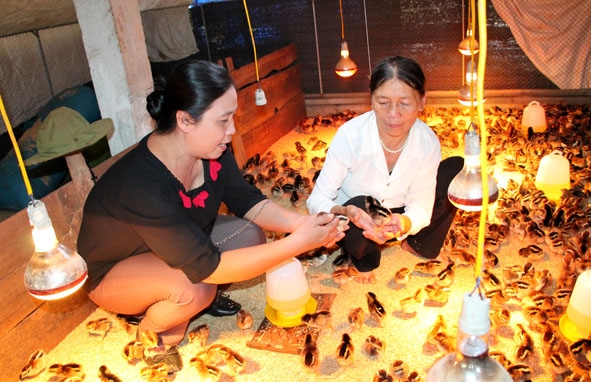 Chị Trịnh Thị Tuyết (bìa trái), Chủ tịch Hội LHPN xã Ea Kao tìm hiểu cách sử dụng vốn vay tín dụng ưu đại của hội viên phụ nữ thôn 3.