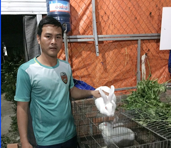 Anh Nguyễn Khắc Quân chăm sóc đàn thỏ  của  gia đình. 