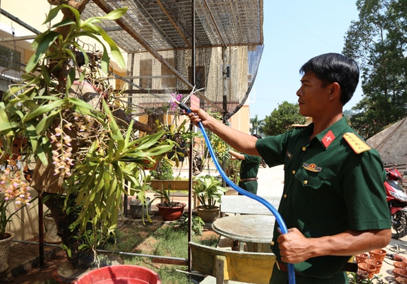 Cán bộ Ban CHQS huyện Lắk chăm sóc vườn hoa phong lan.