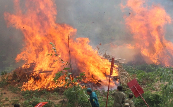Diễn tập phòng cháy chữa cháy rừng tại huyện M'Đrắk.