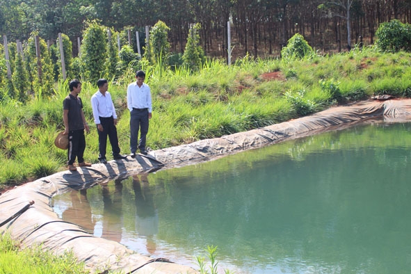 Mô hình hồ nổi trữ nước của anh Lê Quý  (ở xã Dliê Yang, huyện Ea H’leo).  
