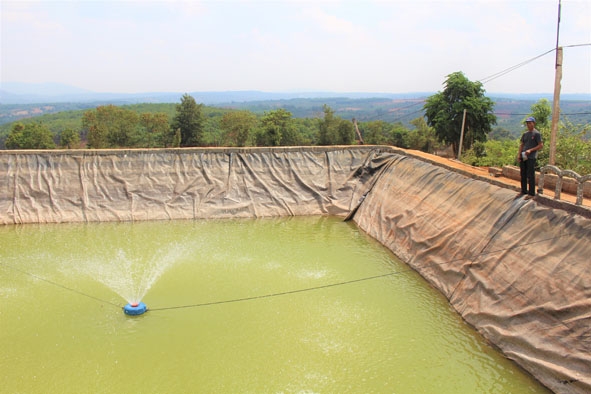 Hồ trữ nước giúp ông Lê Bá Trung (xã Ea Khăl) an tâm sản xuất mùa khô hạn.