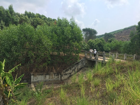 Nhiều công trình thủy lợi trên địa bàn huyện M'Đrắk đến thời điểm này đã cạn trơ đáy.