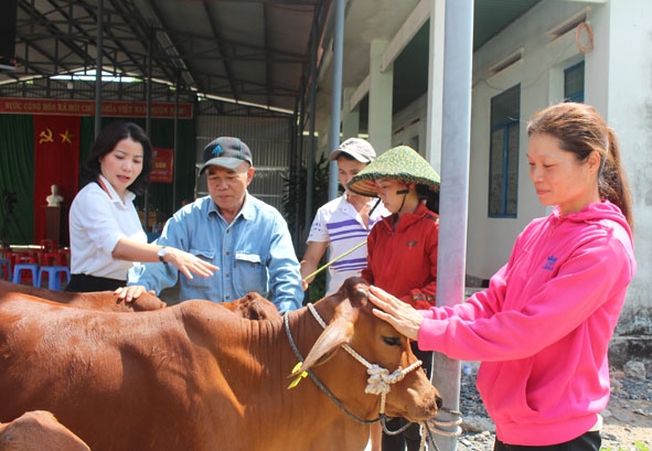 Chủ tịch Hội LHPN tỉnh Nguyễn Thị Thu Nguyệt (bìa trái) trao bò cho gia đình phụ nữ nghèo ở xã Ia R'vê, huyện Ea Súp.