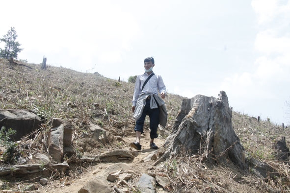 Chuyến thâm nhập thực tế tại rừng Hà Hăng của phóng viên Báo Đắk Lắk. 