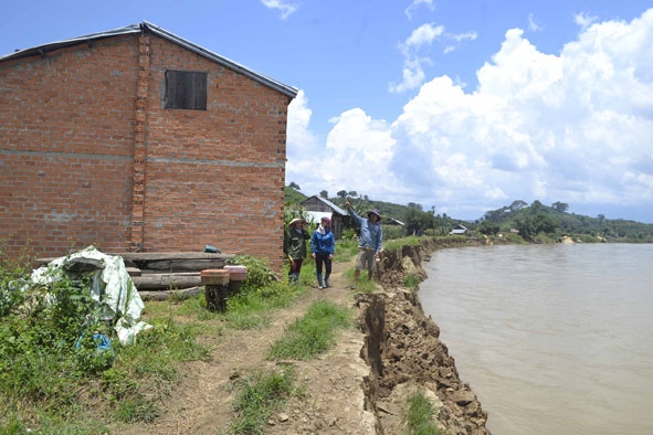 Bờ sông Krông Nô đoạn qua xã Ea Rbin, huyện Lắk bị sạt lở nặng. 